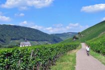Cycling the vineyards of Moselle valley in Germany