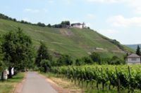Vineyards of the Moselle Valley