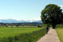 Bavarian mountains in the rear