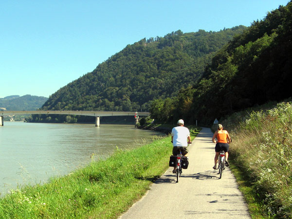 Cycling through lush green at the Danube