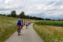 Danube cycle path in Regensburg
