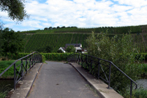 Cycling across a small bridge