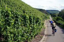 Moselle cycling holidays
