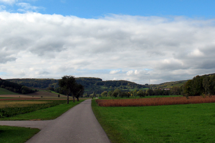 Tauber Valley cycle path