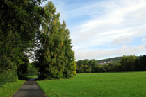 Cycling the Tauber Valley